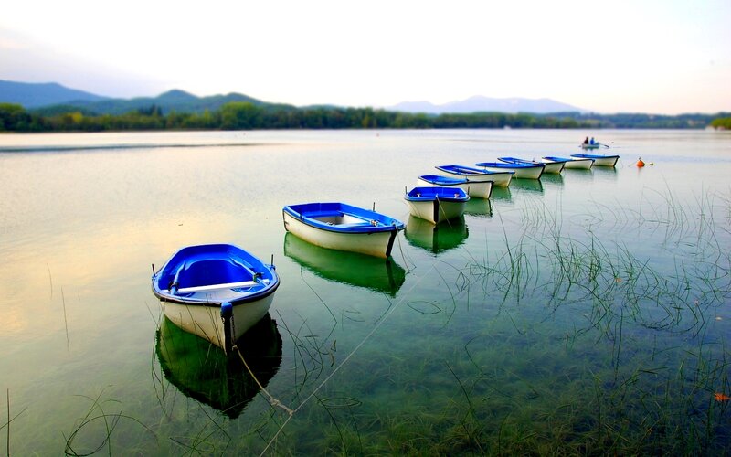 Blue and White Boats