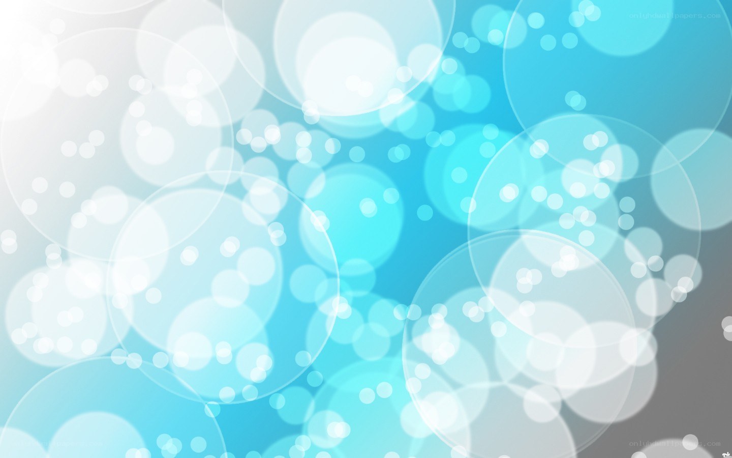 blue and white bokeh circles