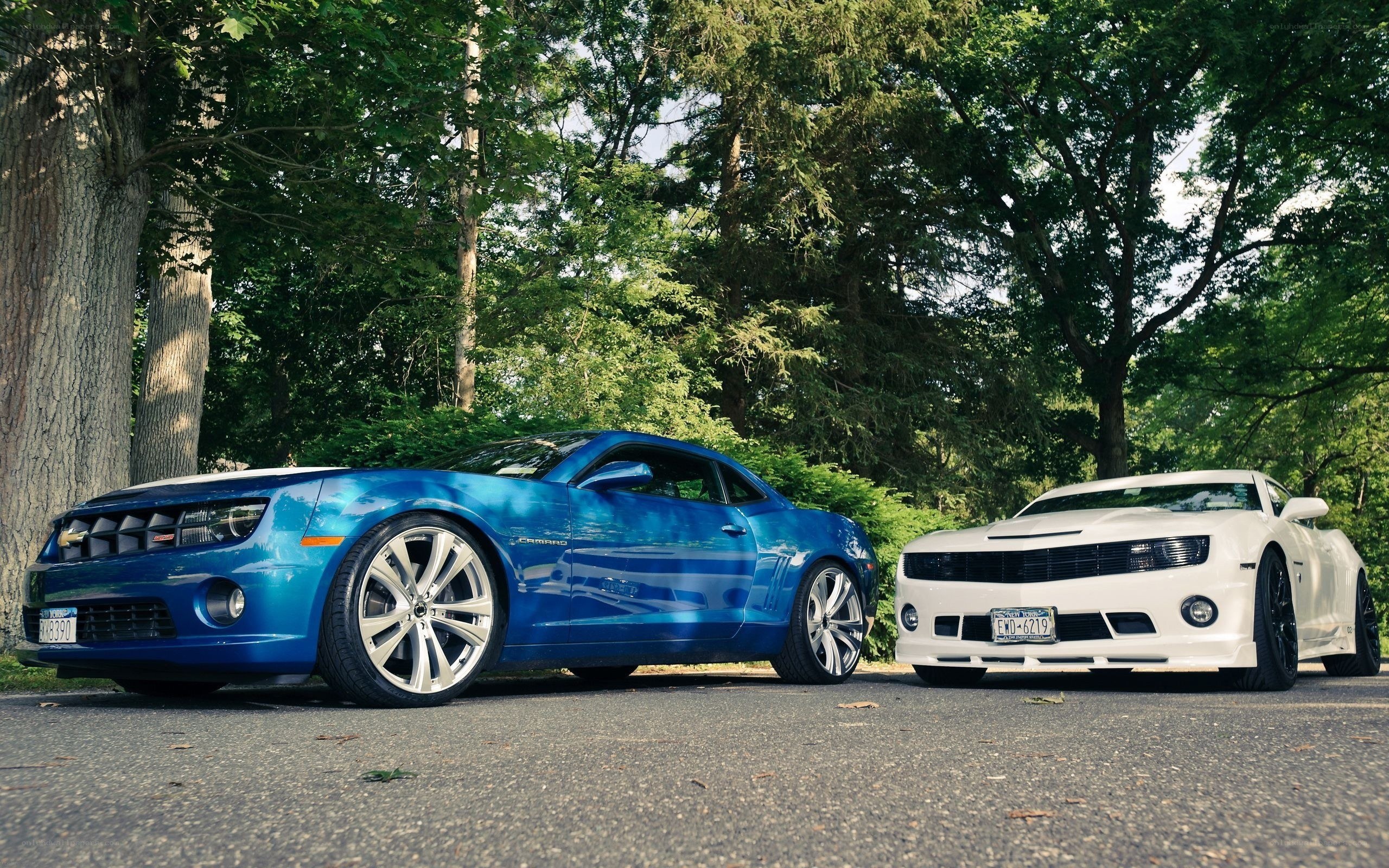 Blue and white Camaros parked