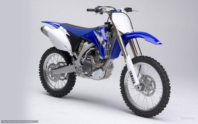 blue and white dirt bike