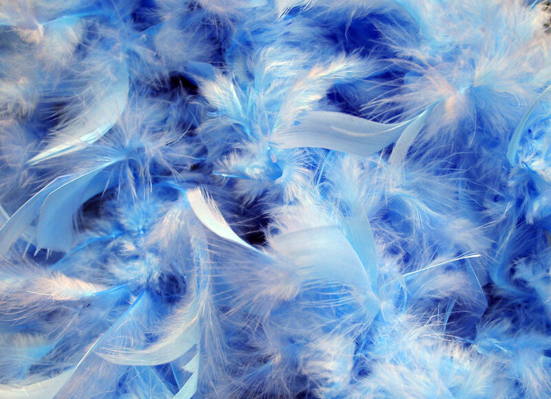 Blue and White Feathers — Soft