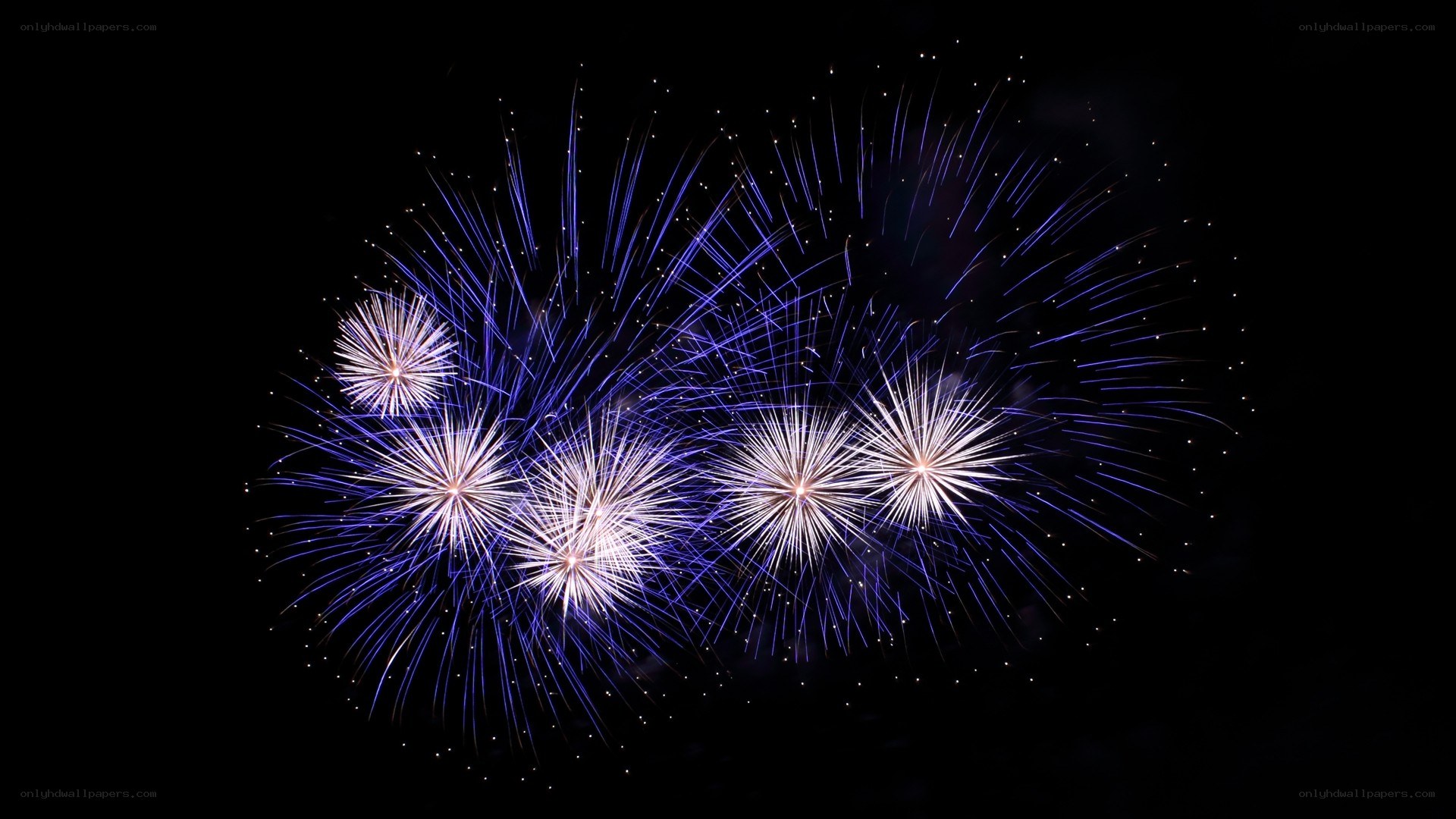 Blue and white fireworks display