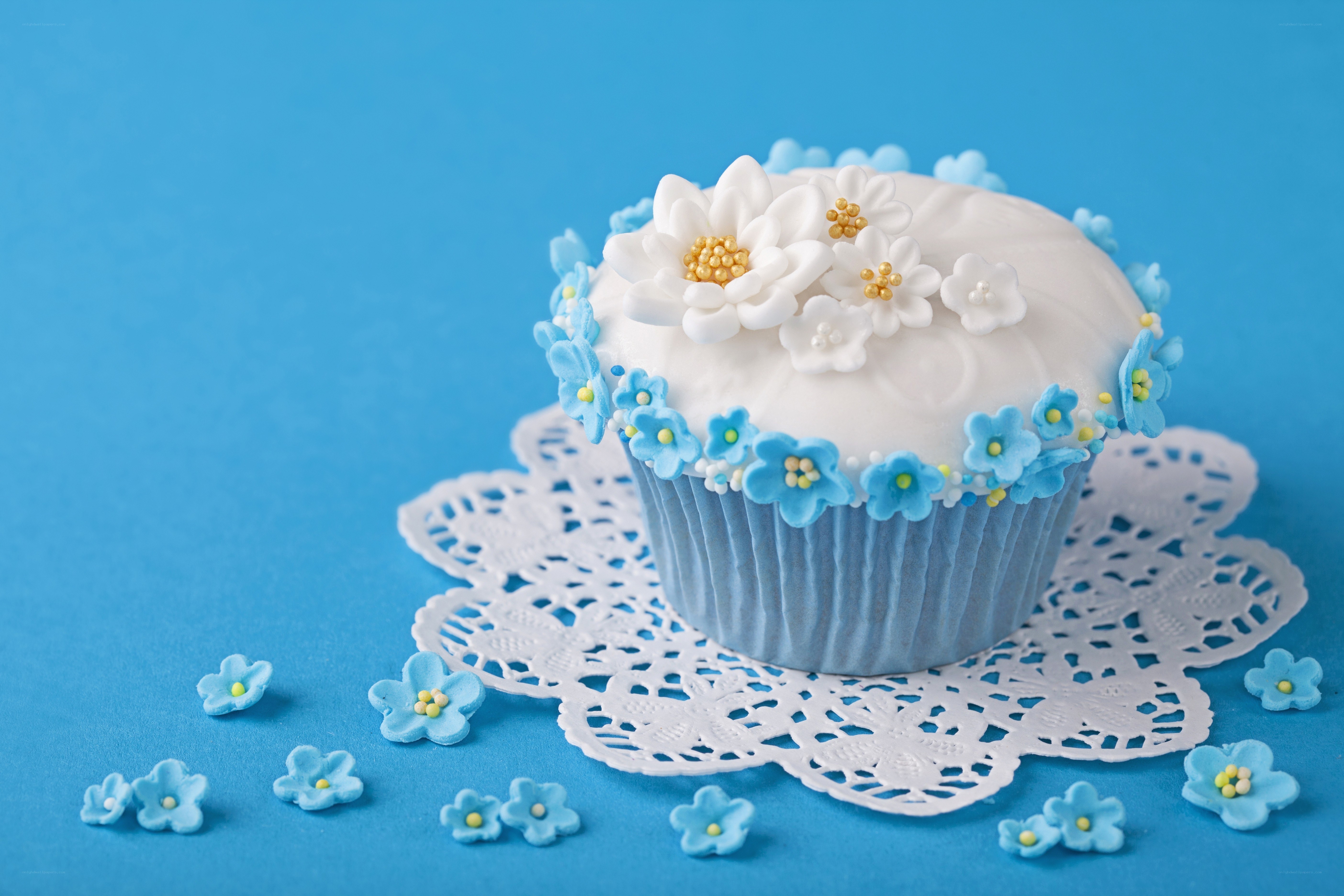 blue and white floral cupcake