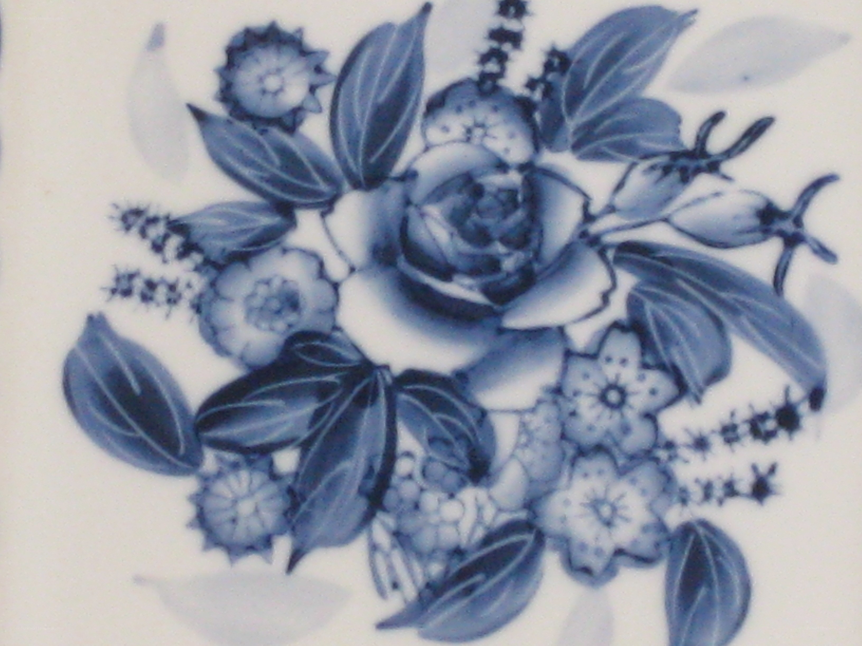 blue and white floral pattern