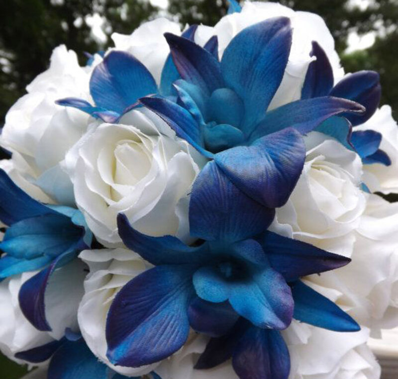 Blue and White Flowers — Calm, Afternoon, Photograph, Roses