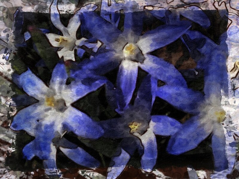 Blue and White Flowers — Calm, Painting