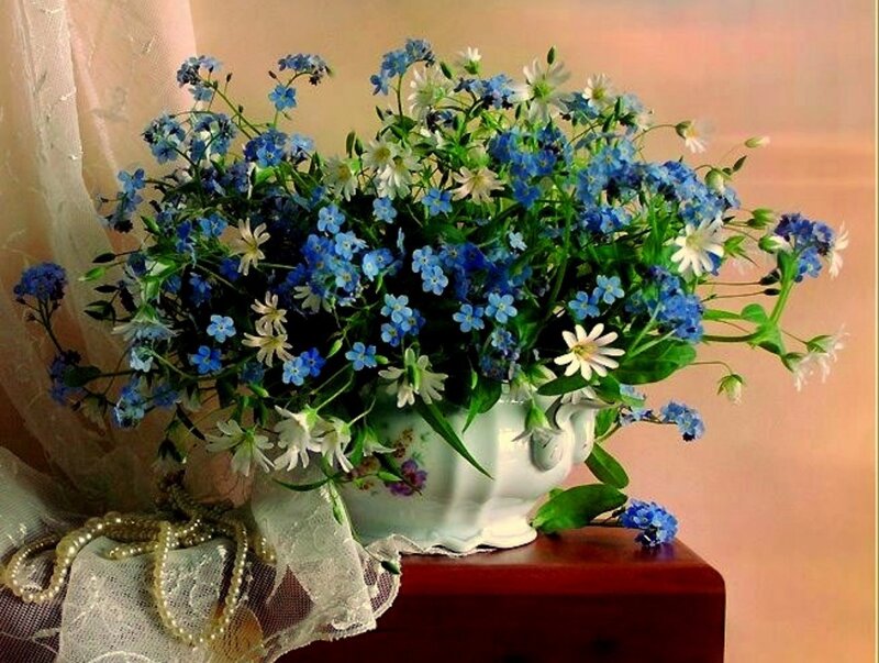 Blue and White Flowers — Calm