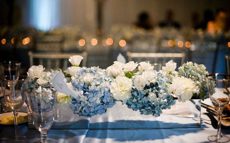 Blue and White Flowers — Elegant