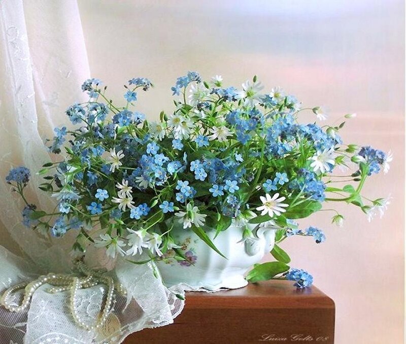 Blue and white flowers in a vase