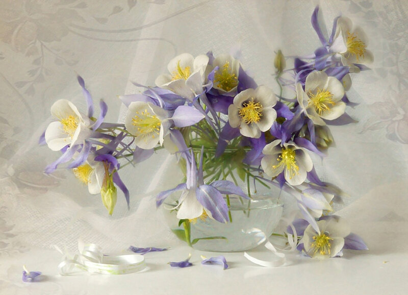 Blue and White Flowers — Purple, Serene