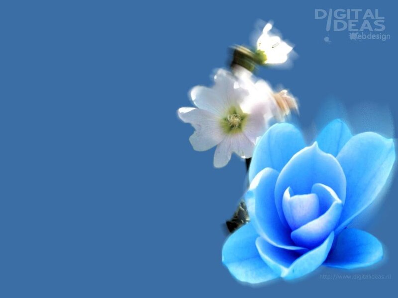 Blue and White Flowers — Serene, Digital Art