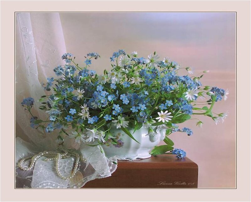 Blue and White Flowers — Serene, Photograph, Vase, Lace
