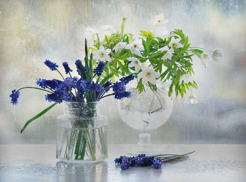 Blue and White Flowers — Serene, Spring, Photograph, Vase