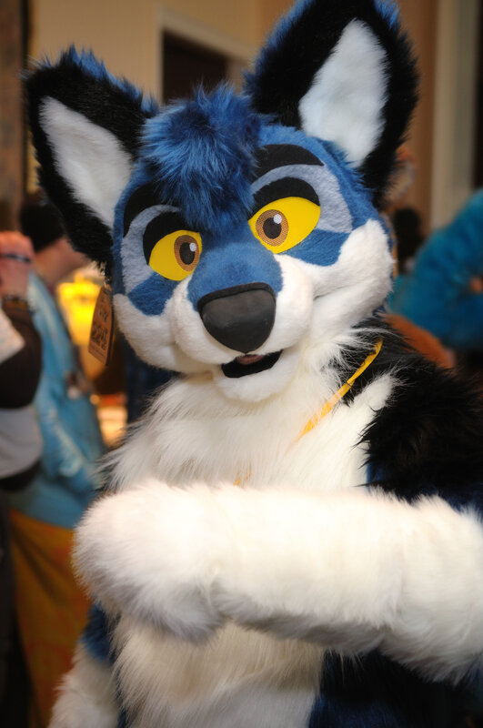 blue and white fursuit character