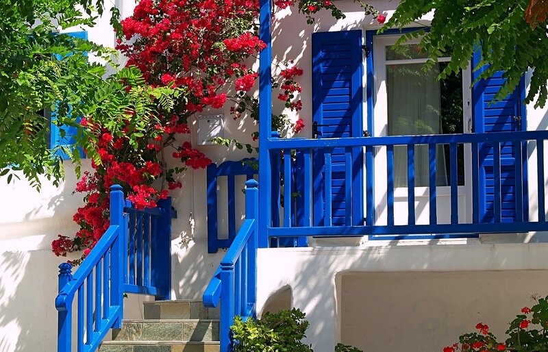Blue and white house with red flowers