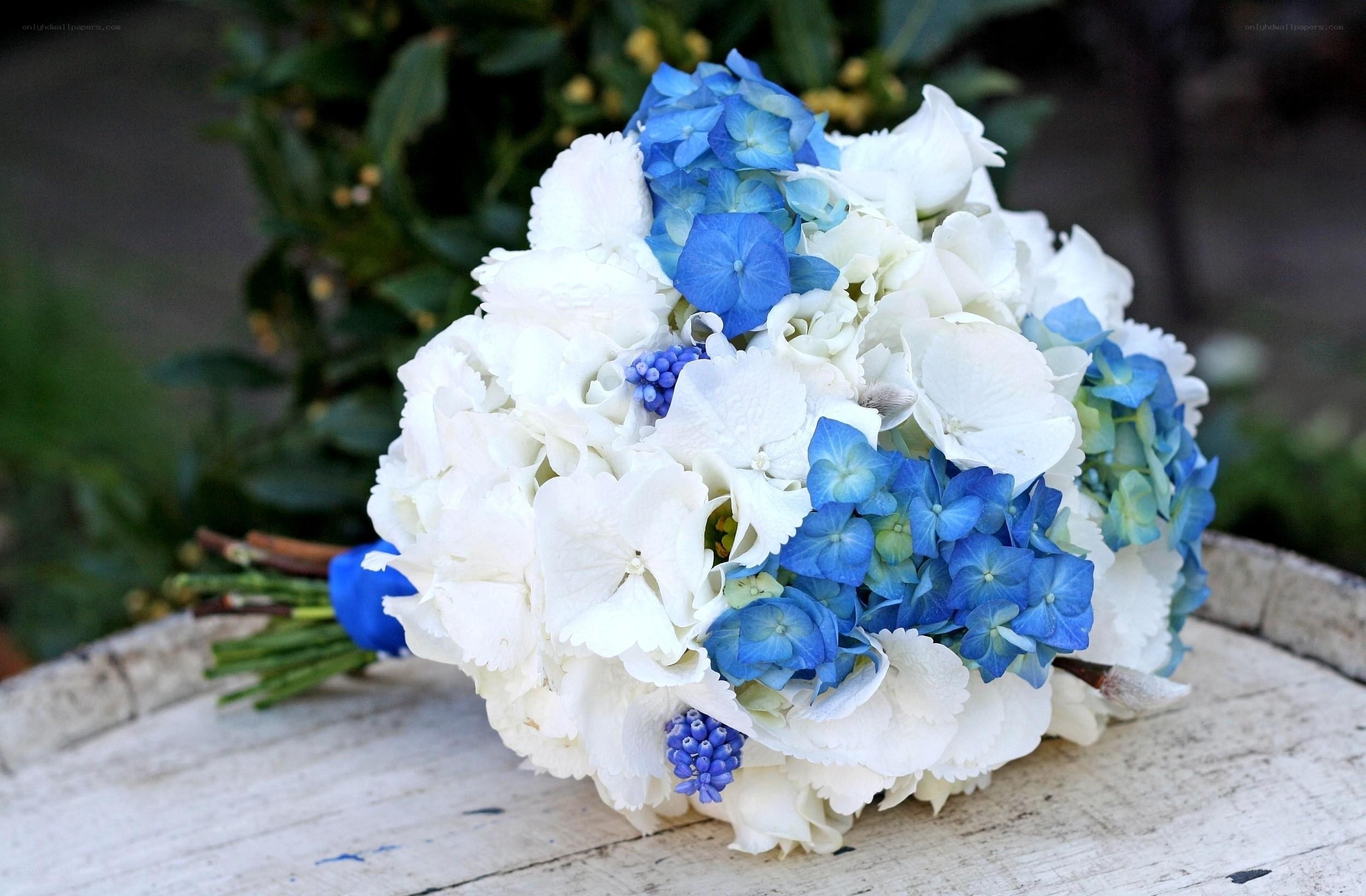 blue and white hydrangea bouquet