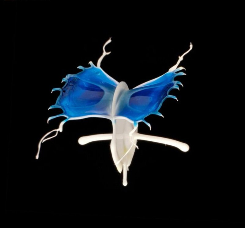 Blue and White Jellyfish