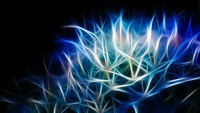 Blue and White Light Strands