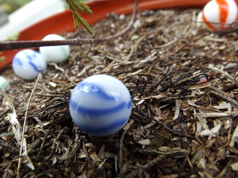 Blue and White Marbles