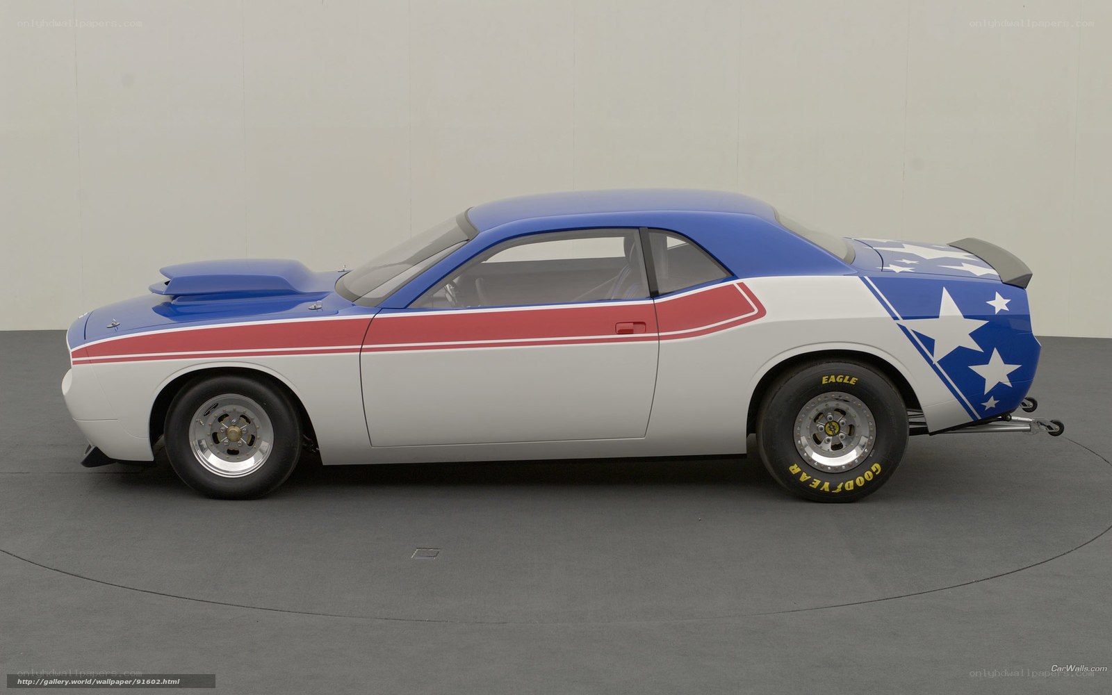 blue and white muscle car