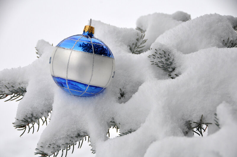 Blue and White Ornament