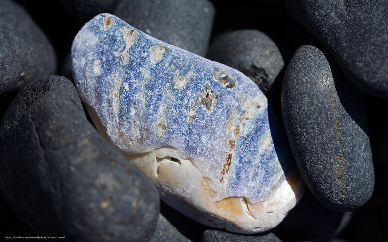 Blue and white pebble among dark stones