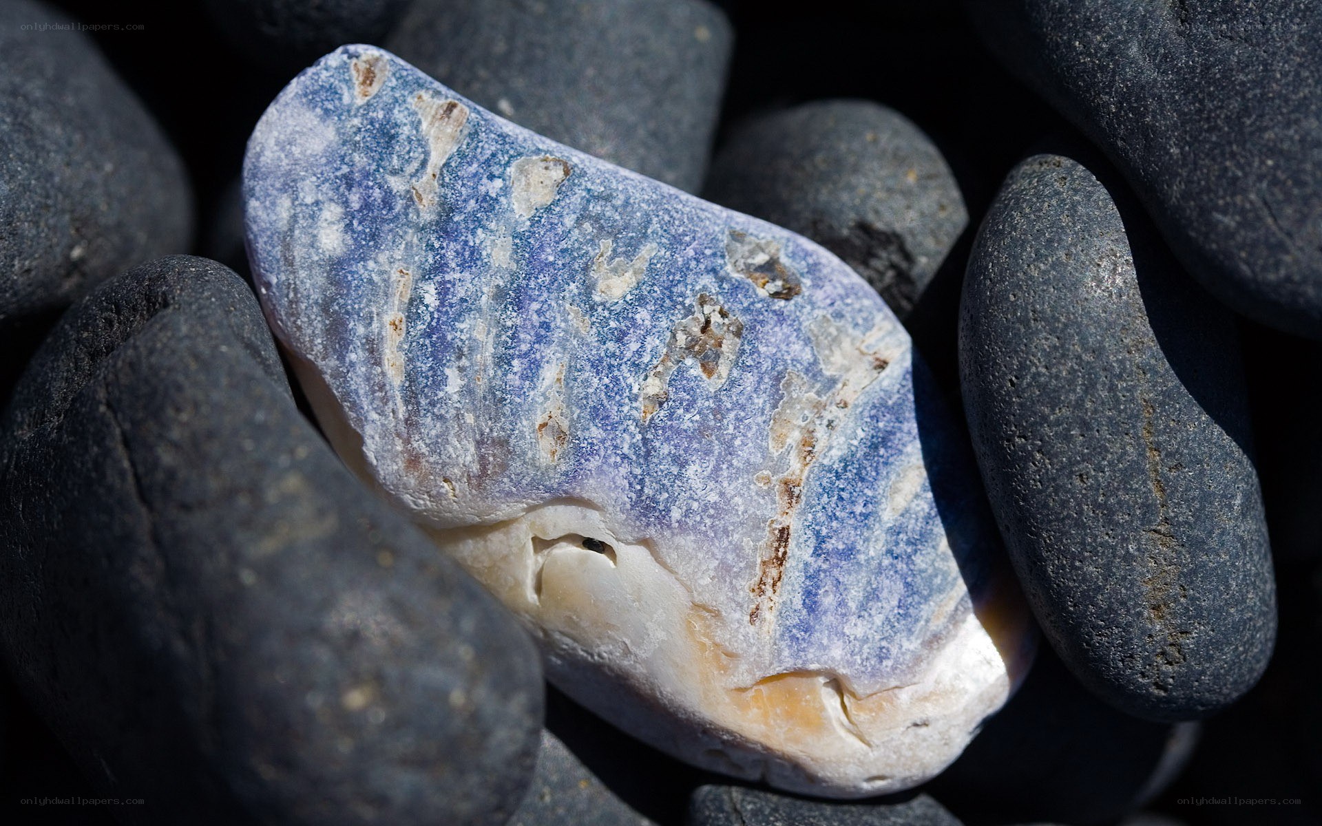 blue and white pebble among rocks