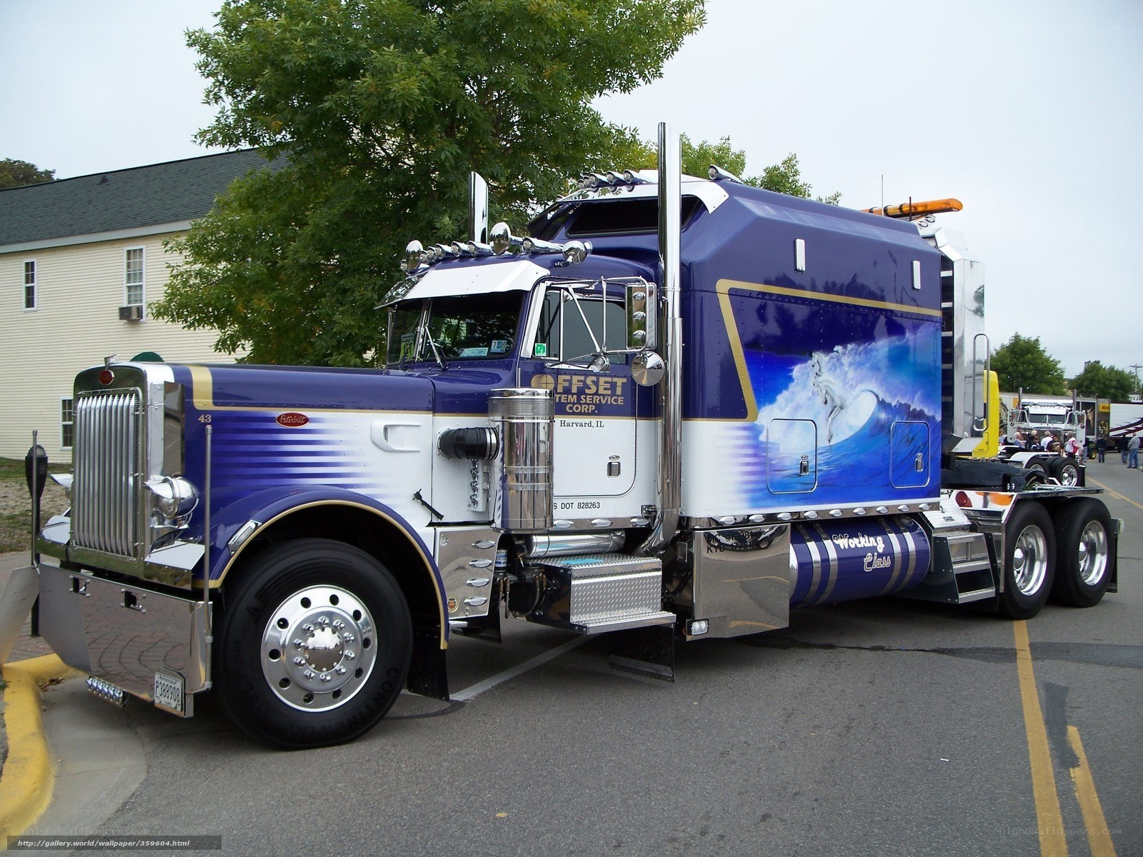 Blue and white Peterbilt truck