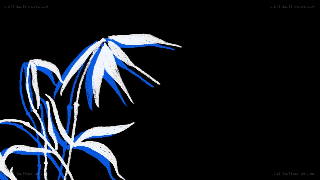 blue and white plant drawing