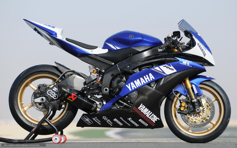 Blue and White Racing Motorcycle — Dynamic