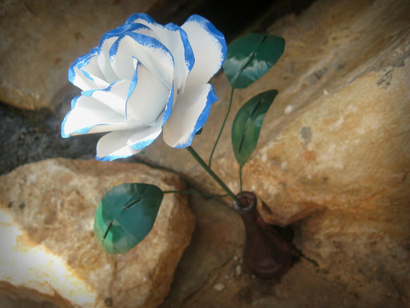 Blue and White Rose — Calm, Photograph, Leaves