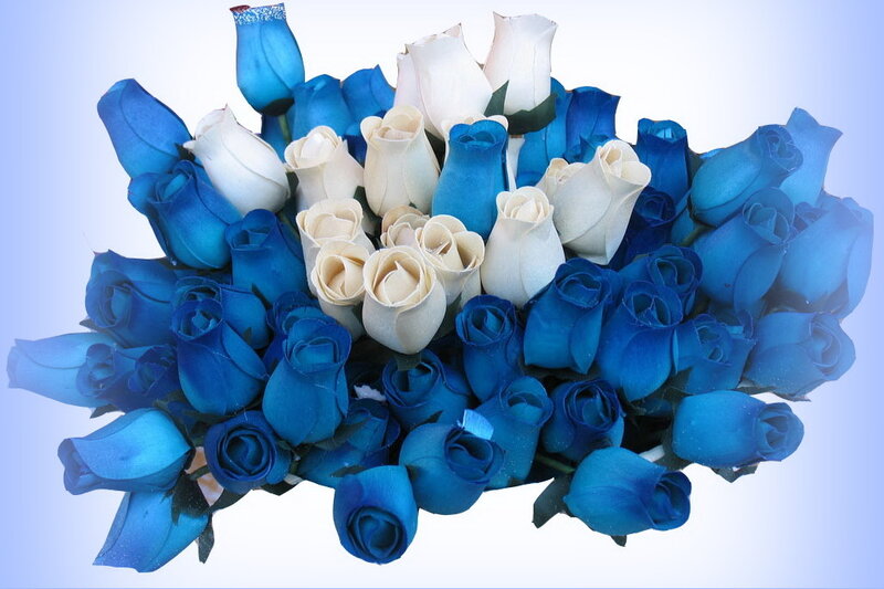 Blue and White Roses — Calm