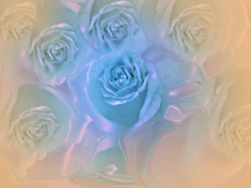 Blue and White Roses — Serene, Digital Art