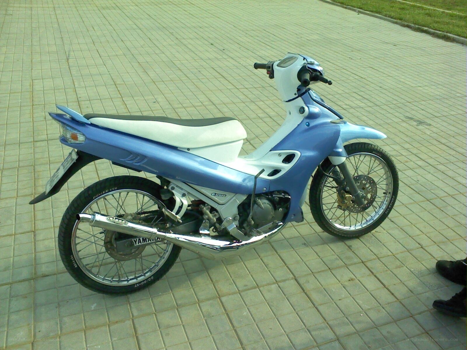 blue and white scooter