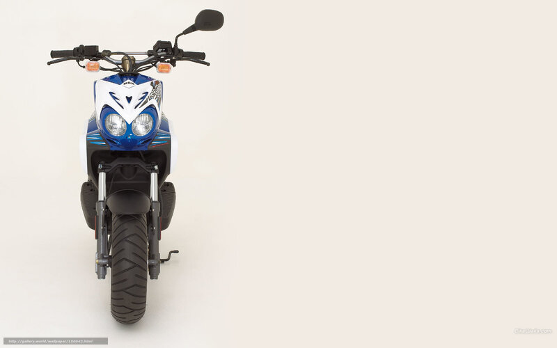Blue and White Scooter — Neutral, Photograph, Handlebars, Headlights