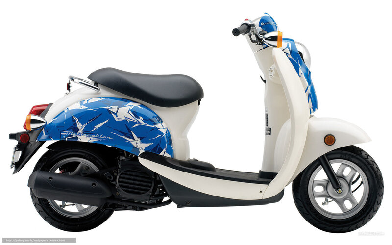 Blue and White Scooter — Neutral, Photograph, Seat