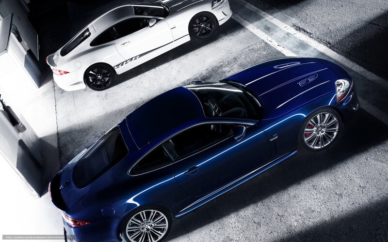 Blue and White Sports Cars — Dramatic