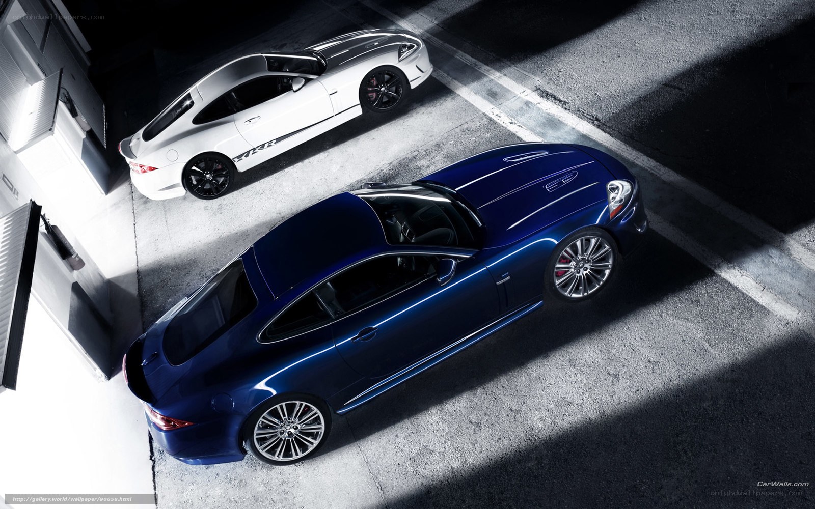 Blue and white sports cars