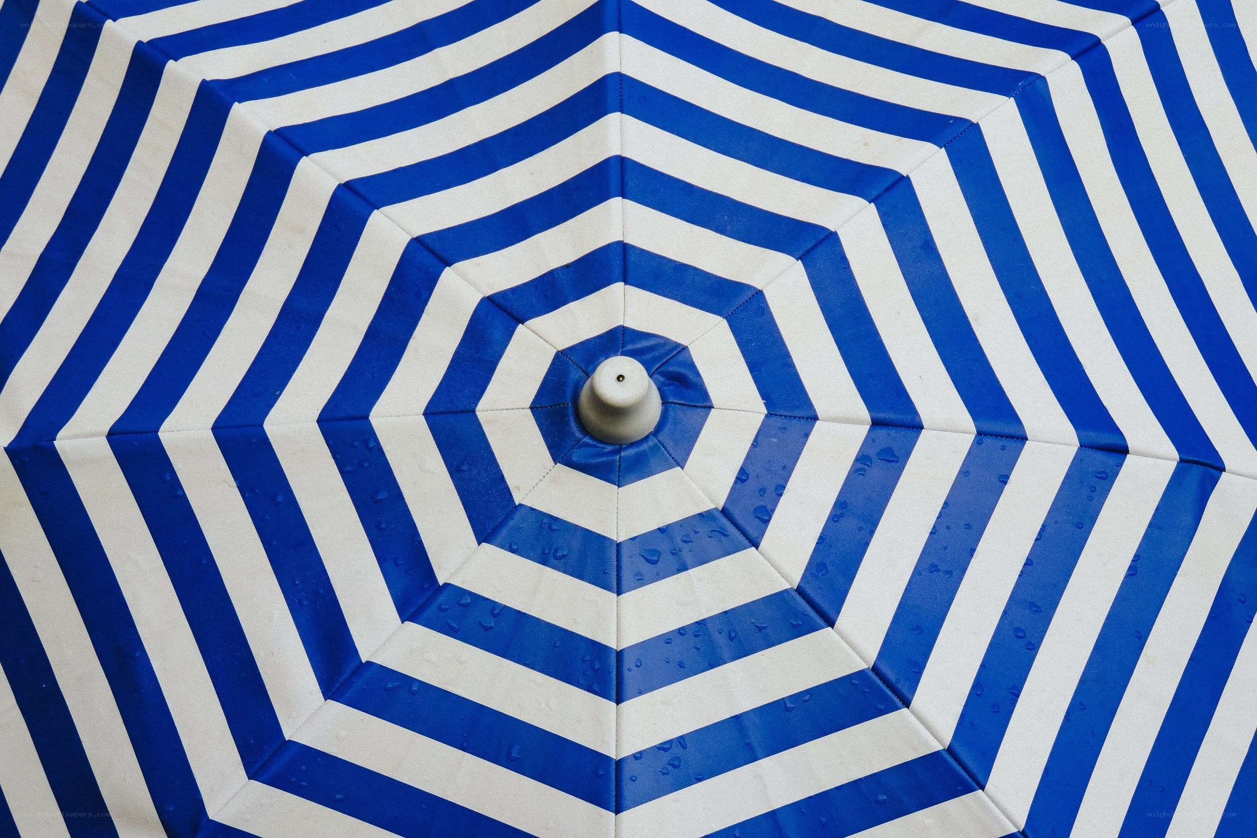 blue and white striped umbrella