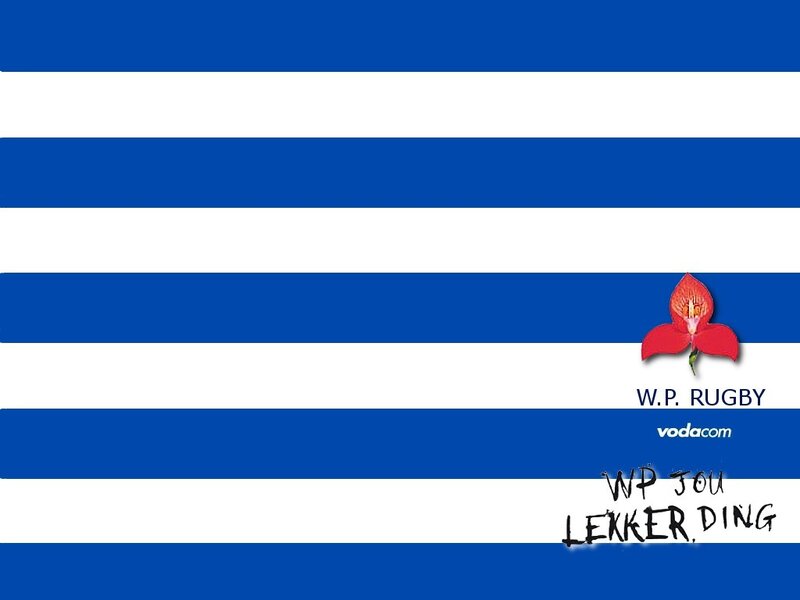 Blue and white stripes with flower