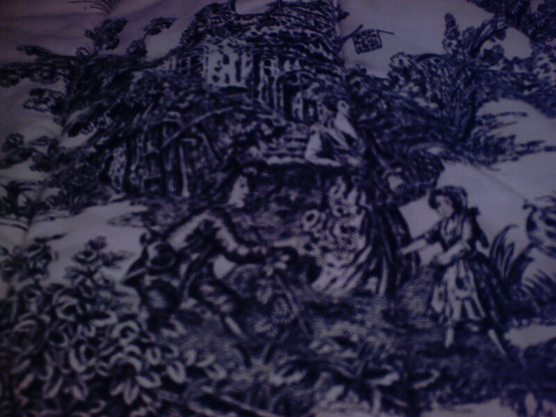 Blue and White Toile Fabric