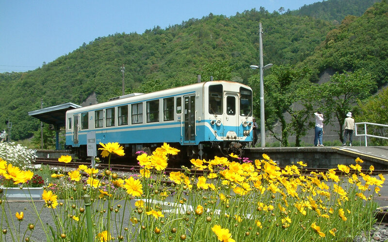 Blue and White Train