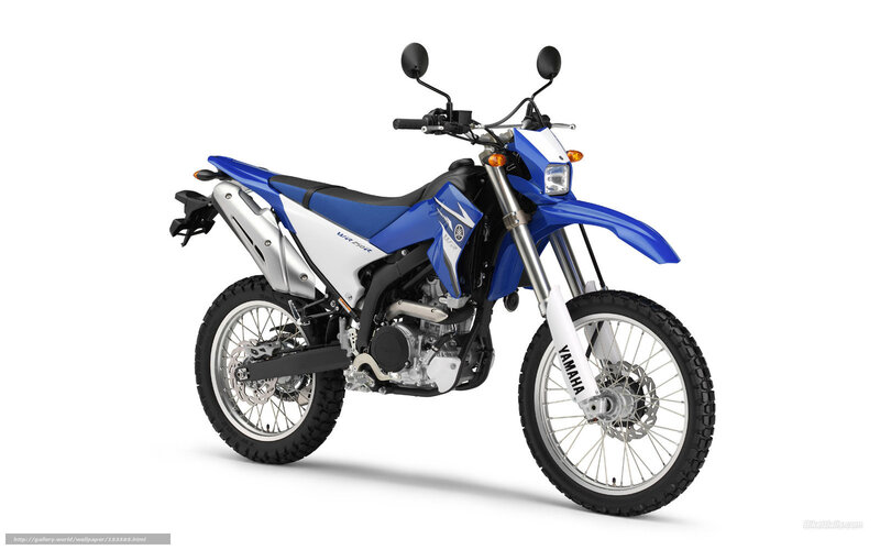 blue and white yamaha wr250r