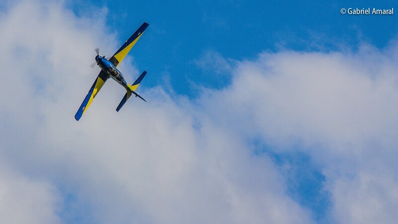 Blue and Yellow Airplane — Dynamic, Afternoon