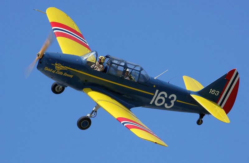 Blue and Yellow Airplane — Dynamic