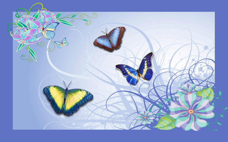 Blue and Yellow Butterflies
