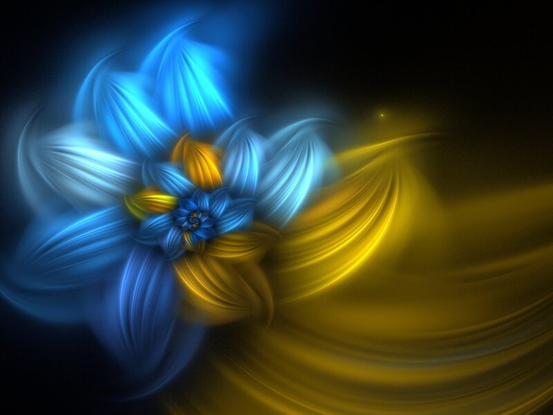 Blue and Yellow Flower