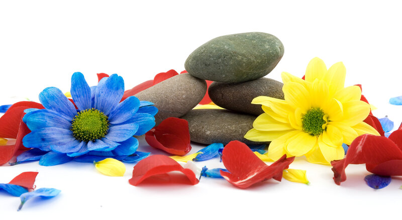 Blue and Yellow Flowers — Calm