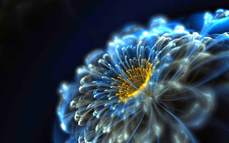 Blue and Yellow Fractal Flower