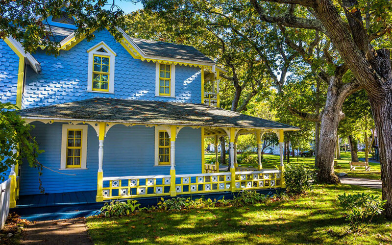 Blue and Yellow House